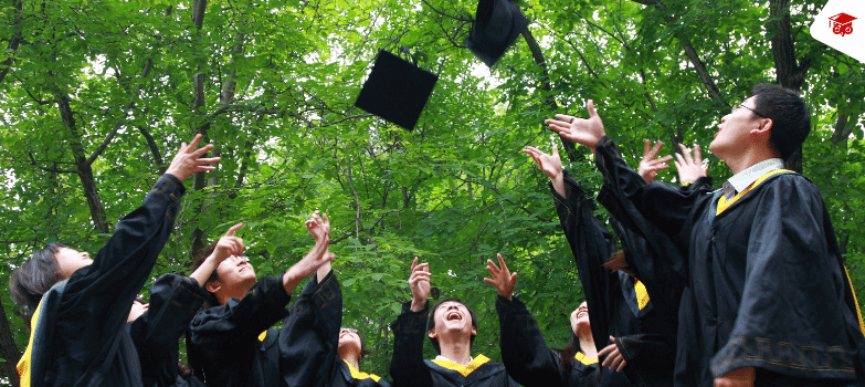 Career Concerns – Stepping Into Your First Job
