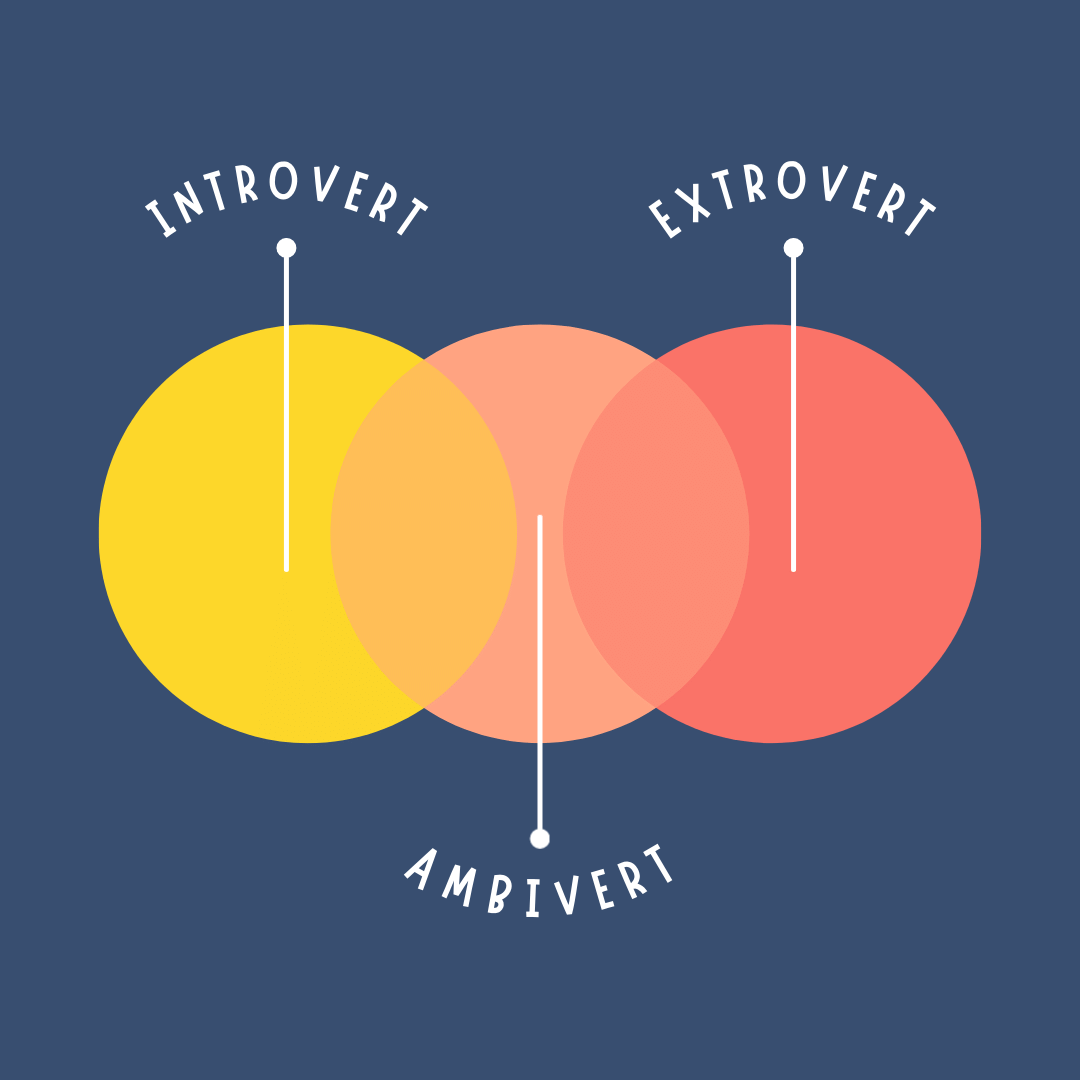 Courses For Ambiverts Who Want To Balance Their Social Life