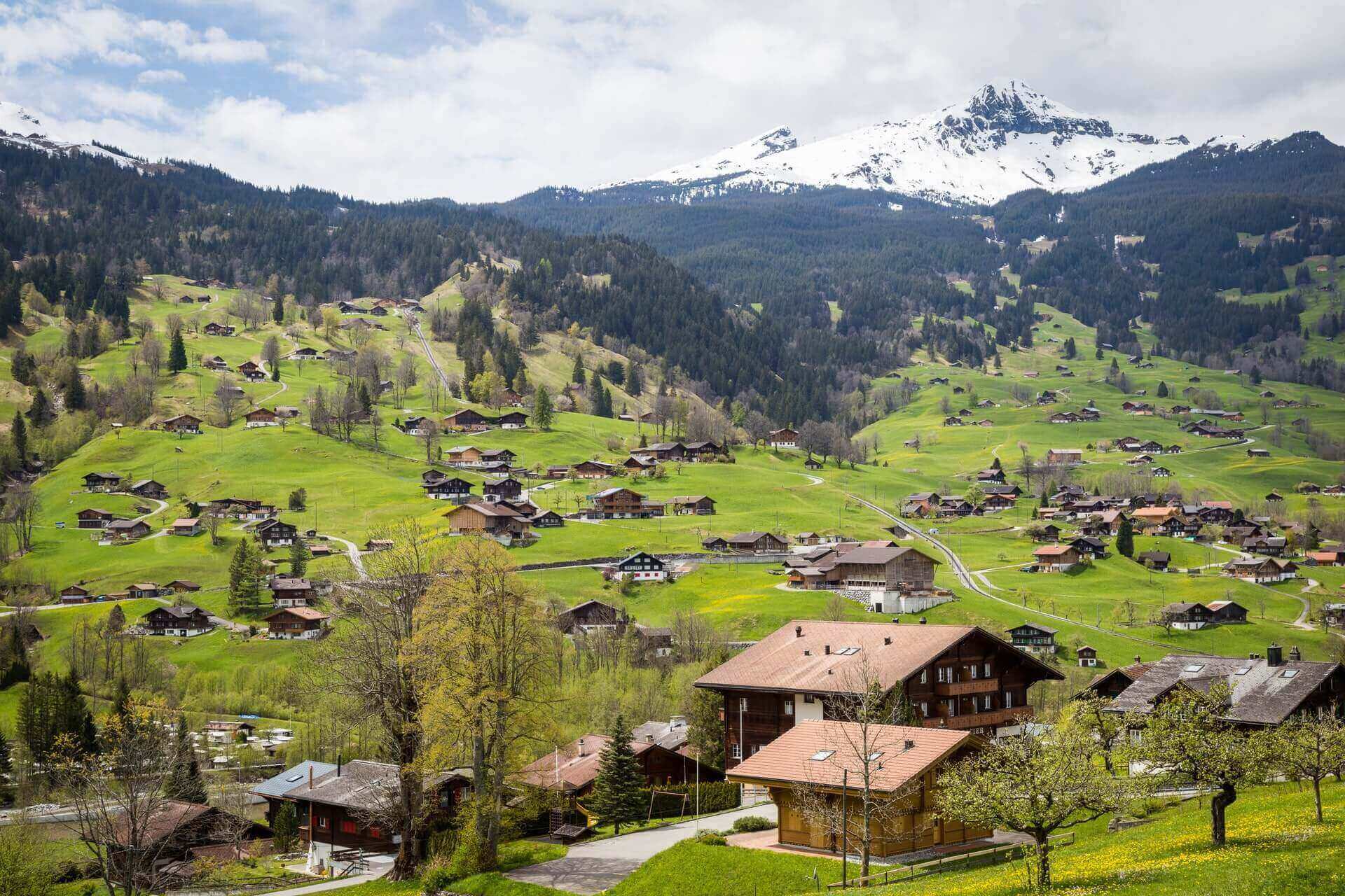 Green landscape of Switzerland.