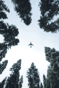 Fly to cheap countries to study abroad.
