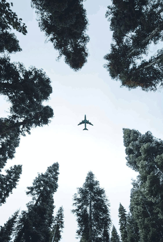 Cheap Countries To Study Abroad in 2021
