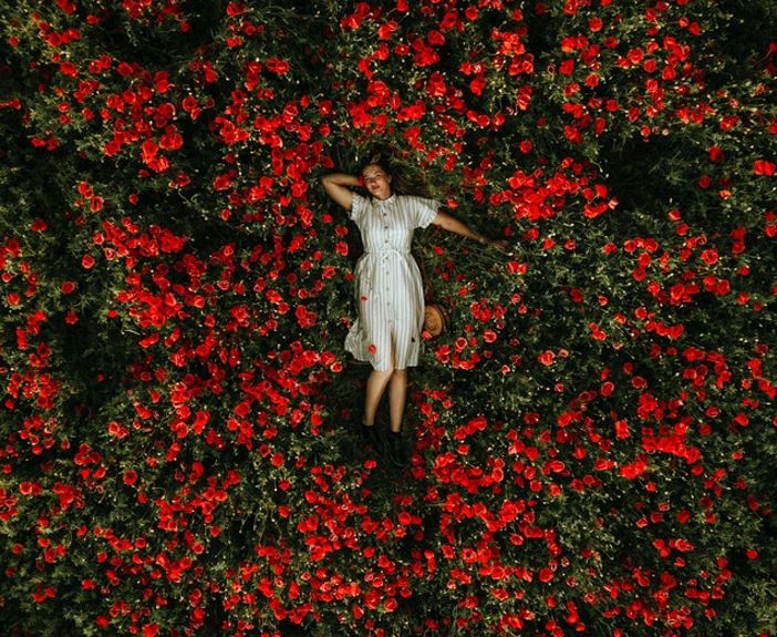 Girl posing on top of red flowers.