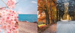 Study abroad to experience all four seasons in a year.