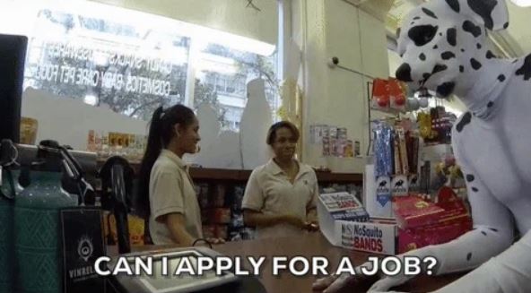 Can I apply for a job?